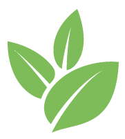 Bamboo Root Removal